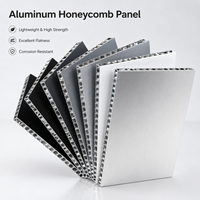 Panneau en nid d'abeille en aluminium AHP ACM gris argenté avec revêtement PVDF personnalisé, léger et facile à installer pour la décoration de devanture de magasin