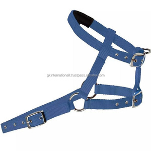 Nouvelle arrivée licou cheval en nylon bleu léger à bas prix en plusieurs couleurs et tailles personnalisées avec quincaillerie en acier inoxydable nickel - Product Image 5