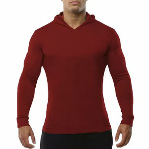 Vente en gros de sweatshirts à capuche personnalisés de haute qualité avec logo 95% coton 5% polyester sweatshirt à capuche à manches longues pour hommes - Product Image 1