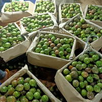 Verse Premium Kwaliteit Passievruchten uit Vietnam met Natuurlijke Zoetzuur Smak, GMO-vrij, voor Export Groothandel