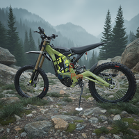 Moto électrique tout-terrain Light Bee X 2025, Surron X, Surron Gonped 8kw, Light Bee X