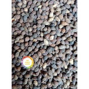 GRAINES DE PAPAYE SÉCHÉES DE HAUTE QUALITÉ FOURNISSEUR DU VIETNAM PRODUIT NATUREL PROPRE POUR LE COMMERCE D'EXPORTATION EN VRAC DANS LE MONDE ENTIER - Product Image 2