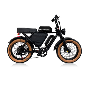 VTT Électrique Fat Bike avec Moteur de 500W, Pneus Tout-Terrain de 26 Pouces et Batterie au Lithium Longue Autonomie de 12Ah pour Adultes - Product Image 2