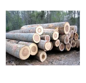 Bûches de peuplier de qualité d'exportation à vendre à bas prix, idéales pour les besoins de la construction et du travail du bois - Product Image 4