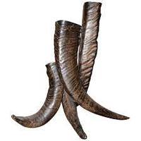 Pointe de corne de buffle brute de haute qualité, taille personnalisée, couleur naturelle polie, artisanat naturel décoratif portable pour les fêtes religieuses