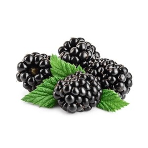 Extracto de Fruta de Mora Silvestre en Polvo, Alta en Antioxidantes, para Suplementos Alimenticios, Suministro a Granel, Fabricante OEM, Tailandia, Grado A - Product Image 2