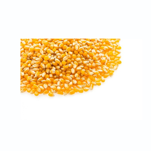 Maíz amarillo a precio de fábrica, granos de maíz de alta calidad listos para envío a gran volumen - Product Image 5