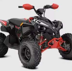 Ventes à prix réduit sur 2024 Cann-Amms Renegadees-X X-c Mr650 HOT DEALS - Product Image 4