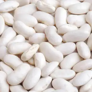 Großhandel weiße Nierenbohnen äthiopische Marinebohnen lange Form getrocknet für Dosen rotbohnen-Typ