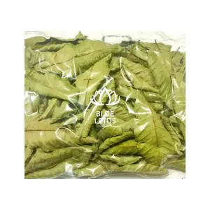 Produit agricole du Vietnam Séchage des feuilles de goyave séchées et des feuilles d'herbes - Product Image 1