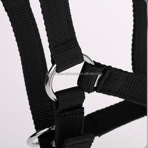 Collar de cabeza de caballo de carreras de nailon negro, suave, cómodo y duradero, doble costura, ajustable, todas las tallas - Product Image 5