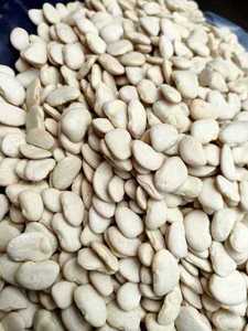 Frijoles Blancos Secos de Alta Calidad para Exportación, Frijoles Orgánicos 100% Naturales de Primera Calidad en Venta - Product Image 4