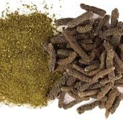 Manufacturers of Turmeric Root Powder From