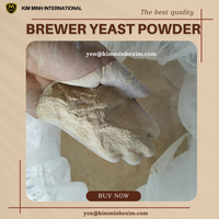 Meilleur prix : Poudre de levure de bière séchée KIM MINH d'origine vietnamienne avec protéines et vitamines de qualité alimentaire pour additifs alimentaires