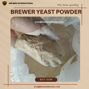 Meilleur prix de poudre de levure de bière séchée dérivée du Vietnam pour les additifs alimentaires - Product Image 3