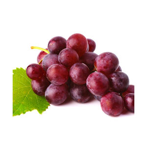 Uvas rubí sin semillas, frutos brillantes y crujientes, sabor consistente, perfectas para mezclas de ensaladas, proveedores de catering para hoteles y cadenas de tiendas minoristas - Product Image 5