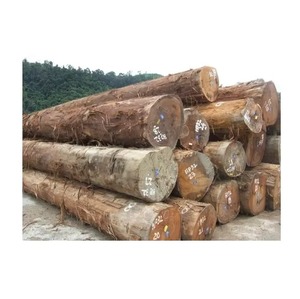 Troncos de madera Sapele al por mayor para madera, varias dimensiones - Product Image 4