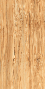 Carreaux de porcelaine modernes résistants à l'usure, aux acides et antibactériens, fabriqués en Inde pour salles de séminaire - Product Image 3