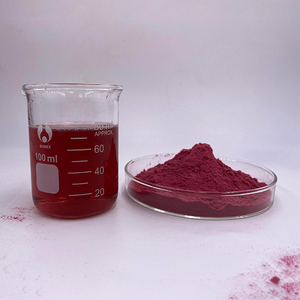Extrait d'arona noir Chokeberry en poudre, extrait de Chokeberry noir, prix d'usine - Product Image 3