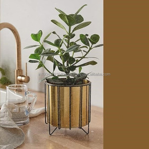 Planteur d'or de luxe de vente chaude avec le support noir prix en gros de l'Inde - Product Image 5