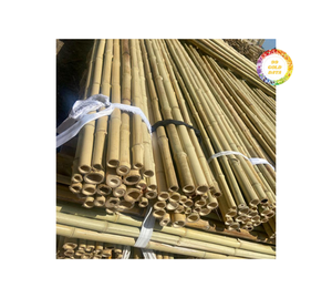 Poteaux de bambou secs et jaunes naturels droits de taille personnalisée de haute qualité pour la construction, la décoration et la culture de la maison - Product Image 6