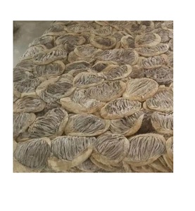 Vente en gros de viande de bœuf Omasum, tendre et délicieuse, de qualité supérieure, de qualité export, pour l'expédition internationale - Product Image 4