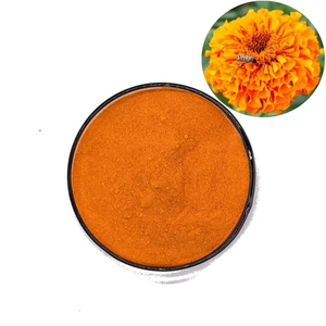 Pétalos de Caléndula Secos Orgánicos de Primera Calidad, Extracto Herbal Silvestre Cultivado, Molido Fino, Color Naranja, Flor de Caléndula - Product Image 3