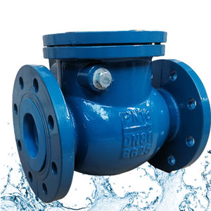 Vanne pivotante en fer extrémité à bride personnalisée ANSI DIN BS JIS PN16 DN100-DN600 pour eaux usées <span class=keywords><strong>Anti</strong></span> claquement Durable - Product Image 5