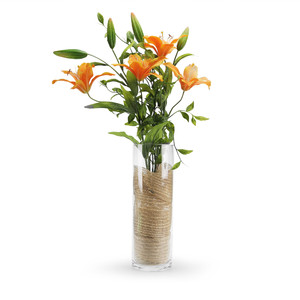 VCY0412 - Cylinder Glass Vase - 4 x 12 - Product Image 2