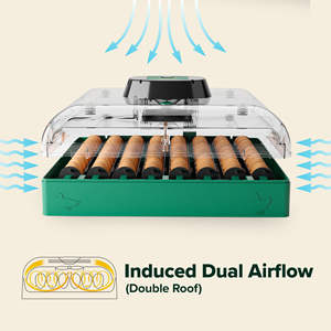 EU PROFI C-72 Egg <strong>Incubator</strong> with Digital <strong>Humidity</strong> <strong>and</strong> <strong>Temperature</strong> Control for Poultry - Product Image 5