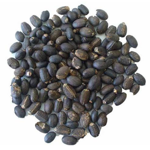 Semillas de Jatropha Naturales Secas de Alta Calidad al 100% a Bajo Precio, Gran Oferta - Product Image 3