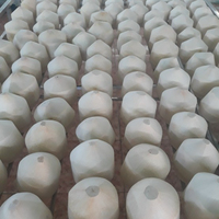 Hoge Kwaliteit Verse Jonge Groene Kokosnoten Van Vietnam Internationale Landbouwmerk Groothandelsprijzen Goedkope Waterbronpulp