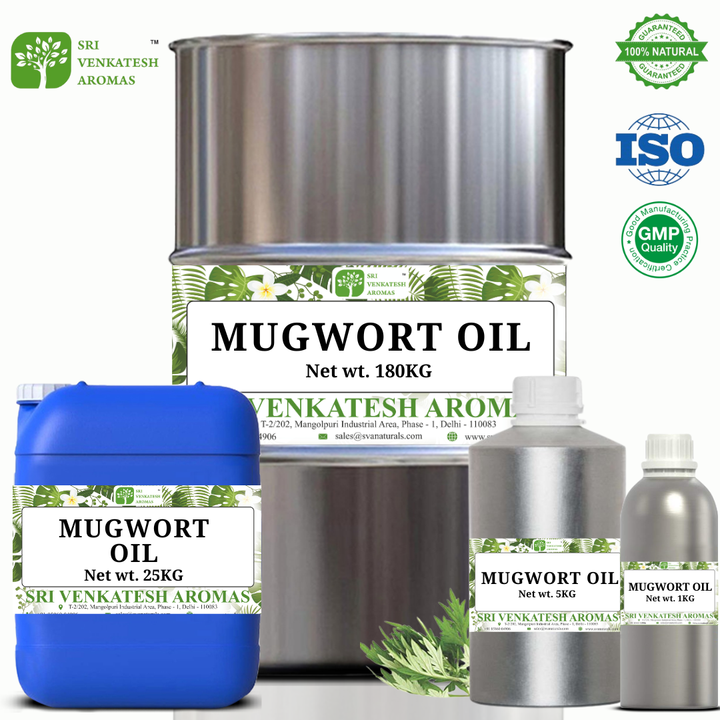 Mugwort Relief Massage Oil Ancient Herbal Remedy for Muscle Pain & Joint Stiffness