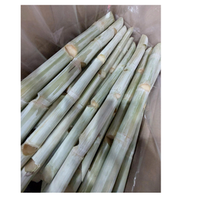 Caña de Azúcar Congelada Premium, Pelada y Limpia, Caña Verde Dulce Natural de Alta Calidad para Exportación a la Cadena de Suministro Global - Product Image 1
