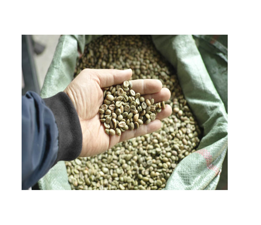 brazilian coffee beans