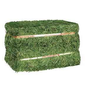 Heno de Alfalfa Premium al por Mayor, Ideal para Exportación, Ganado, Caballos, Vacas, Peces, Cerdos, Compradores - Product Image 6