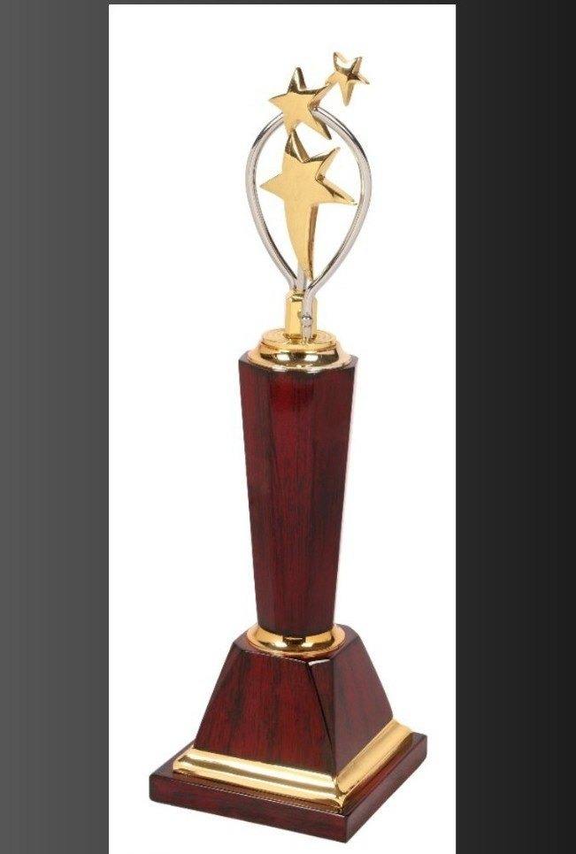 ตามที่แสดง