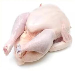 Pollo Halal Congelado Orgánico de Alta Calidad con Cafeína, envasado al vacío, con vitaminas, partes completas: Alas, Patas, Muslos, Cabeza y Cuello. - Product Image 6
