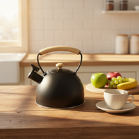 Haute qualité 3L en acier inoxydable eau chaude théière cuisine maison cuiseur à eau avec sifflet bouilloire et peinture de couleur pour café