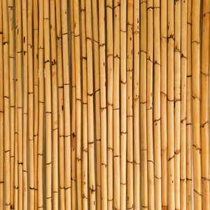 Top quality raw natural manau <b>rattan</b> poles cheapest price <b>rattan</b> <b>cane</b> poles for bulk export - Product Image 2