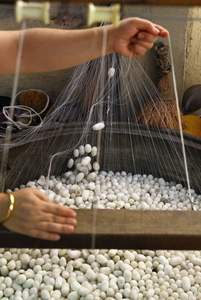 Venta caliente 100% Pupa de gusano de seda orgánica Durable y transpirable Comida de hotel Edredones de seda congelada de Vietnam - Product Image 6