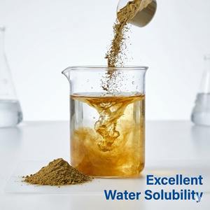 Extracto de Alcachofa en Polvo de Alta Potencia para la Salud del Hígado, Apoyo Digestivo, Control del Colesterol, Suplemento Antioxidante Natural - Product Image 3