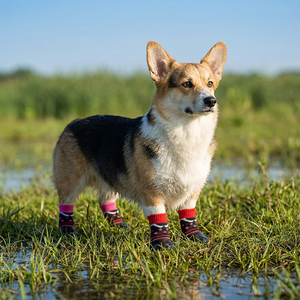 Calcetines para Mascotas de Algodón Ecológicos a Rayas con Dibujos Animados, Antideslizantes, Cómodos, Impermeables, Regalo de Año Nuevo para Perros - Product Image 6