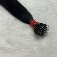 Extensions de cheveux indiens Remy Arrow Exim Nano Tip 01 Micro-Link 100 grammes Texture ondulée naturelle 100-120 mèches Pointes pleines