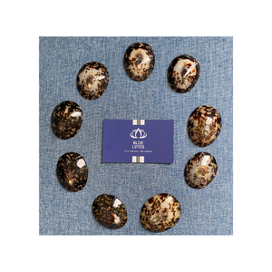 HOT SELLING Low Price Handicraft Decoration Sea Shell Limpet Shell 5cm up Vietnam Beach Shell 2024 - Product Image 1