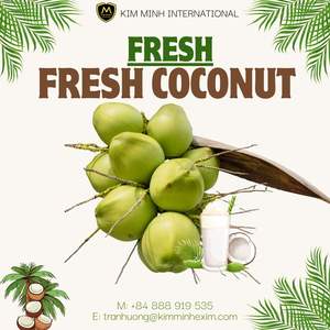 Coco Fresco de Vietnam de Alta Calidad para Alimentos y Bebidas - Product Image 2