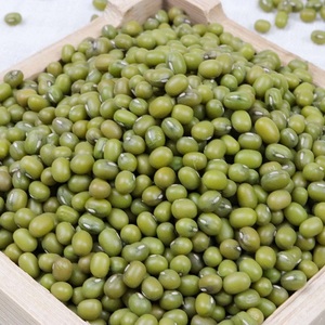 Frijoles Mung Verdes Naturales de Alta Calidad para Agricultura, Proteína Natural, Precio del Mejor Proveedor - Product Image 4