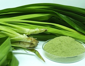 High Quality <b>Pandan</b> Leaf <b>Extract</b> <b>Pandan</b> Powder Food <b>Organic</b> From Viet Nam - Product Image 6