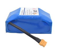 11.1V 10Ah Large Capacity Lithium Replacement BatteryFor Portable Detection Instrument Industrial Testing Device