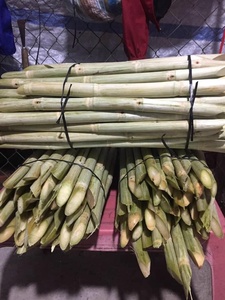 Bâtonnets de canne à sucre surgelés GIA NGUYEN - Qualité supérieure, naturellement sucrés, Dong Thap, Vietnam - Vente en gros, durée de conservation de 180 jours - Product Image 4